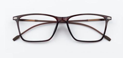 Eden Brown Glasses 1
